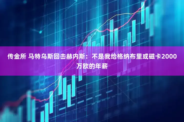 传金所 马特乌斯回击赫内斯：不是我给格纳布里或磁卡2000万欧的年薪