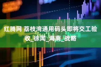 红腾网 荔枝湾通用码头即将交工验收_徐闻_海南_战略