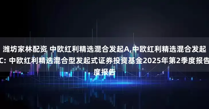 潍坊家林配资 中欧红利精选混合发起A,中欧红利精选混合发起C: 中欧红利精选混合型发起式证券投资基金2025年第2季度报告