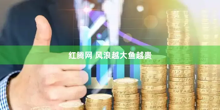 红腾网 风浪越大鱼越贵
